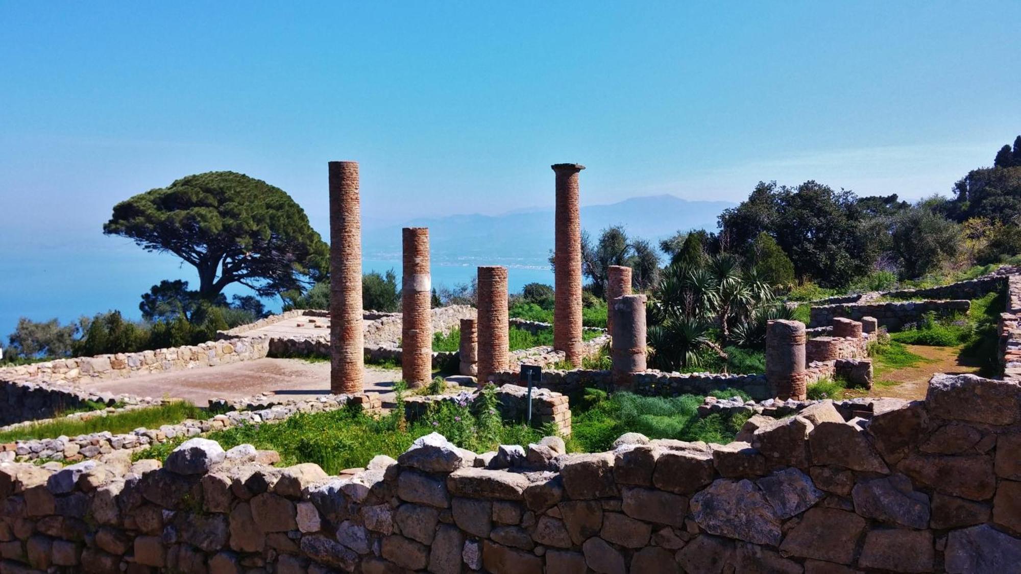 B&B Il Giardino Di Zefiro Gioiosa Marea Dış mekan fotoğraf