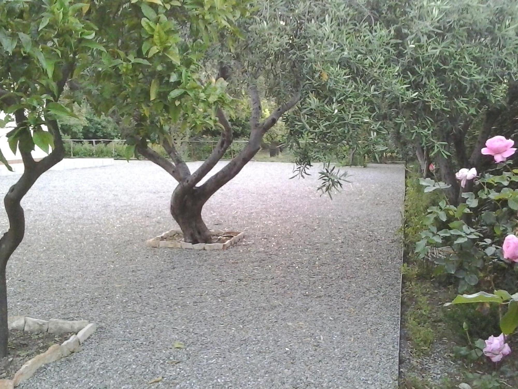 B&B Il Giardino Di Zefiro Gioiosa Marea Dış mekan fotoğraf